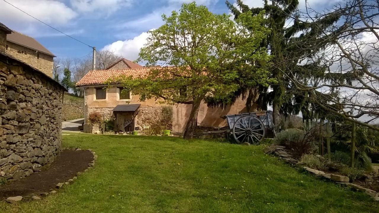 La Caze Gites Broquies Extérieur photo
